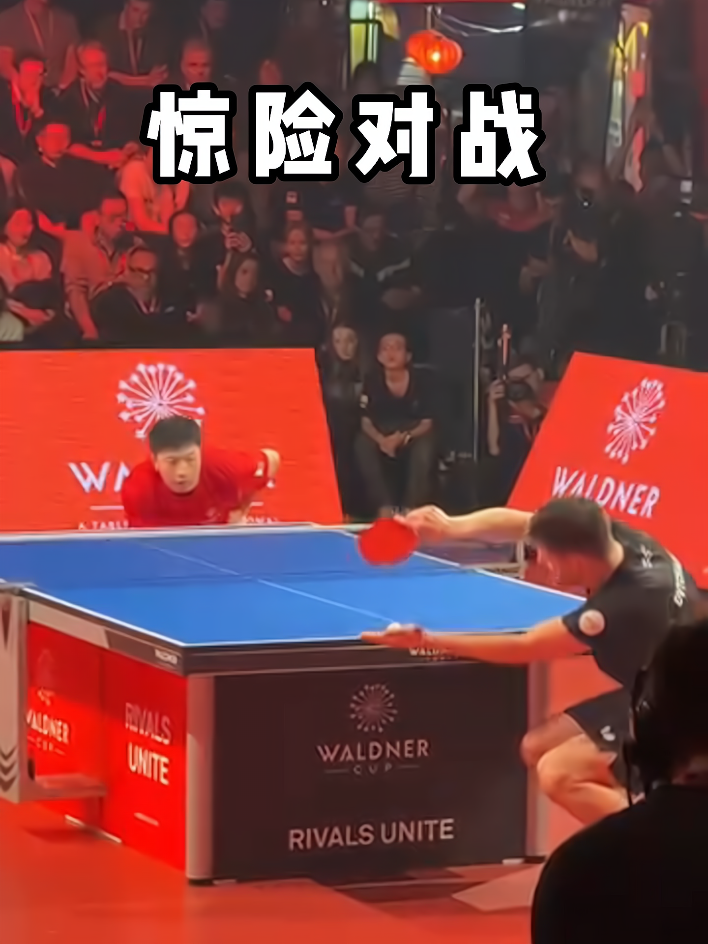 关于波兰乒乓球队碾压奥地利乒乓球队，奥恰洛夫统治全场的信息