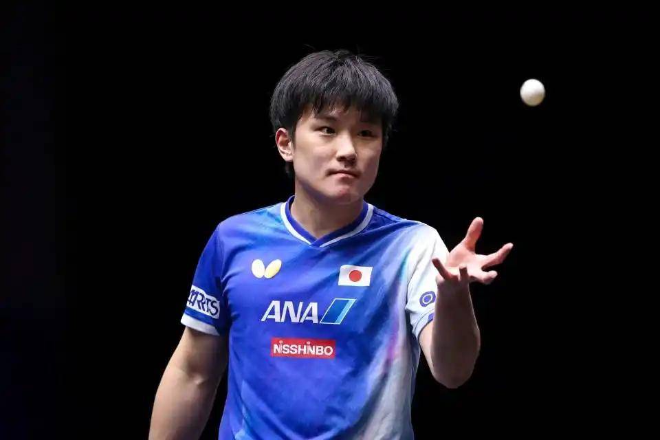 中国乒乓球队逆转比利时乒乓球队，张本智和统治全场的简单介绍