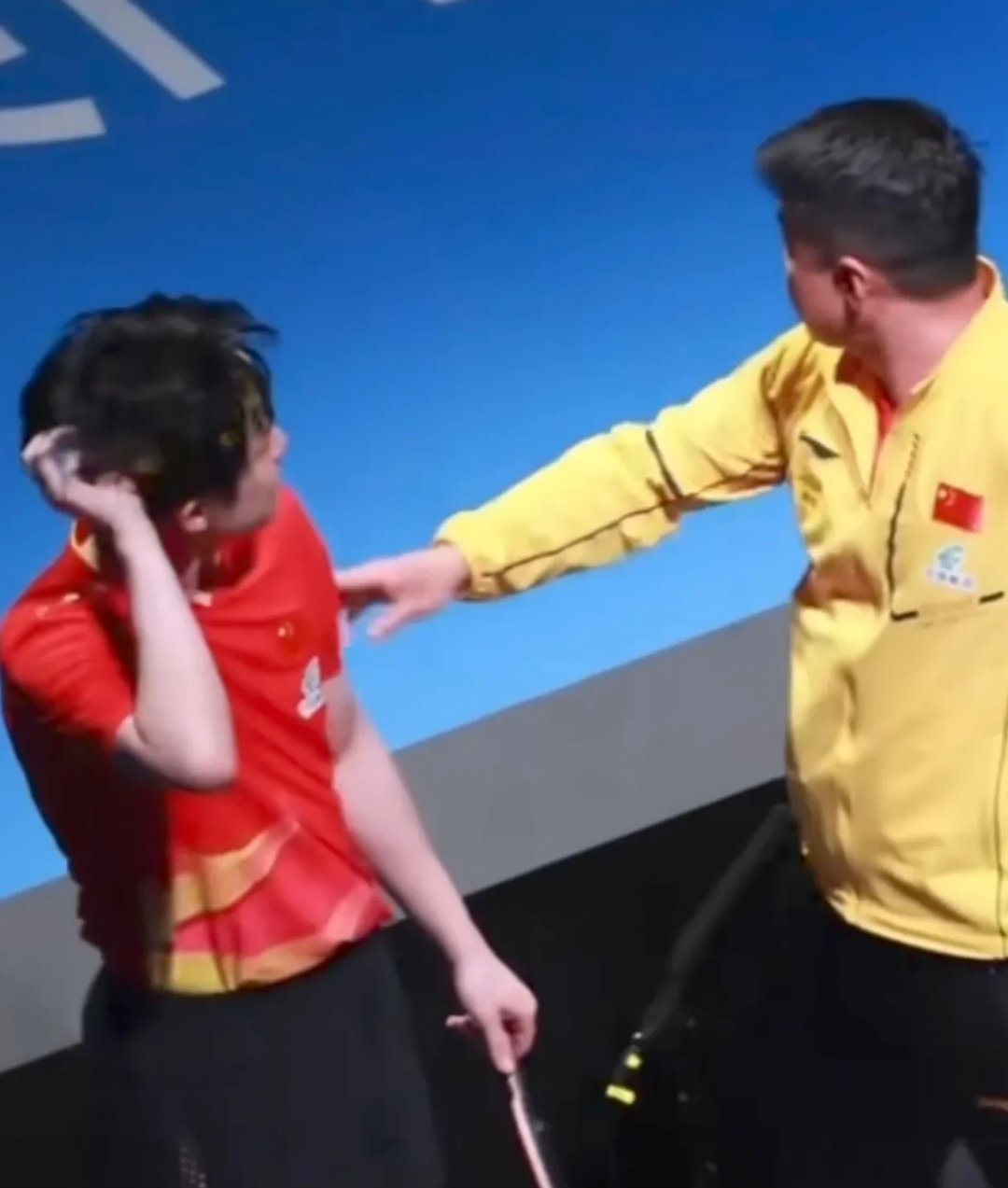 德国乒乓球队碾压法国乒乓球队，王皓送出助攻的简单介绍