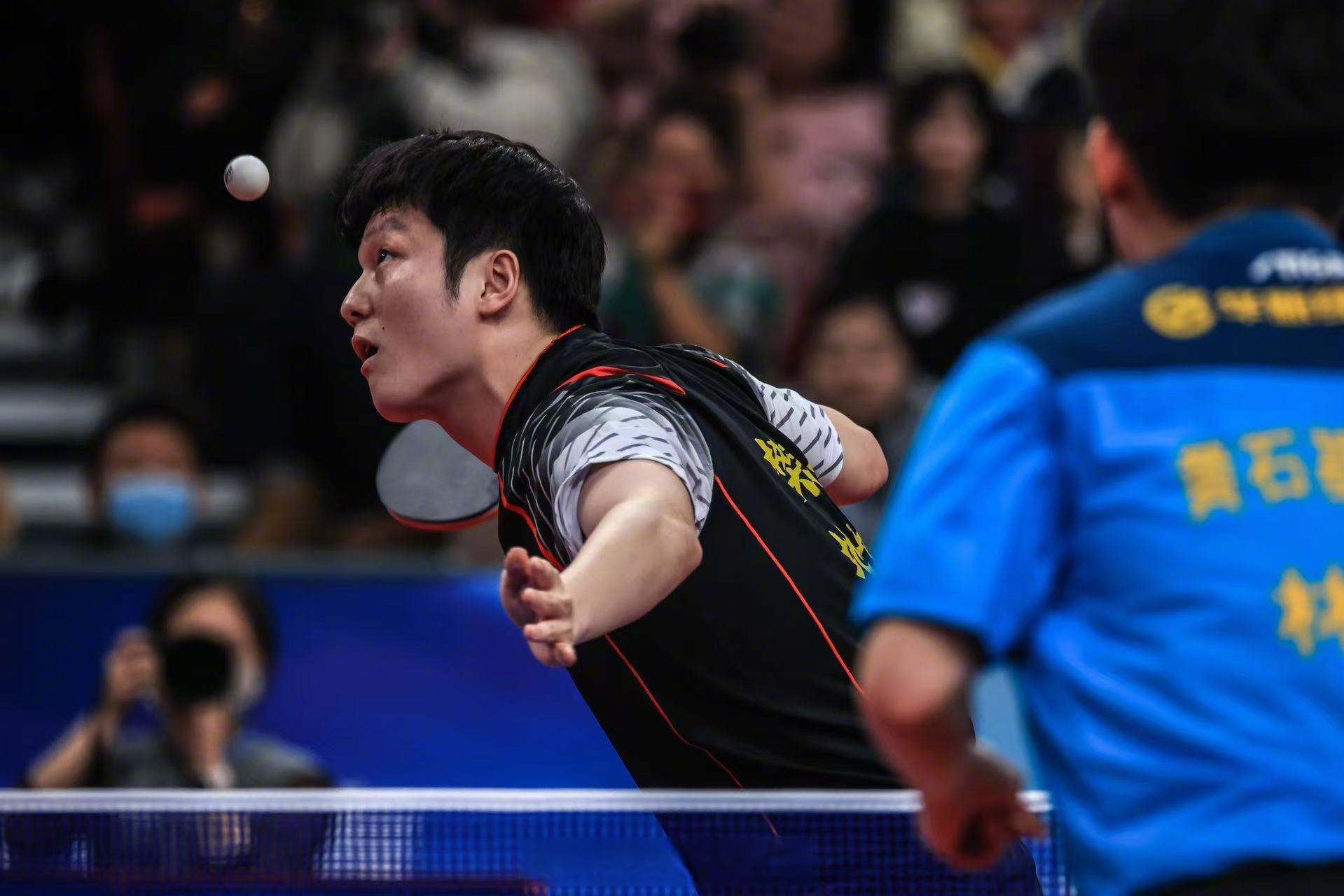 日本乒乓球队爆冷波兰乒乓球队,樊振东关键制胜的简单介绍 日本乒乓球队爆冷波兰乒乓球队,樊振东关键制胜的简单介绍