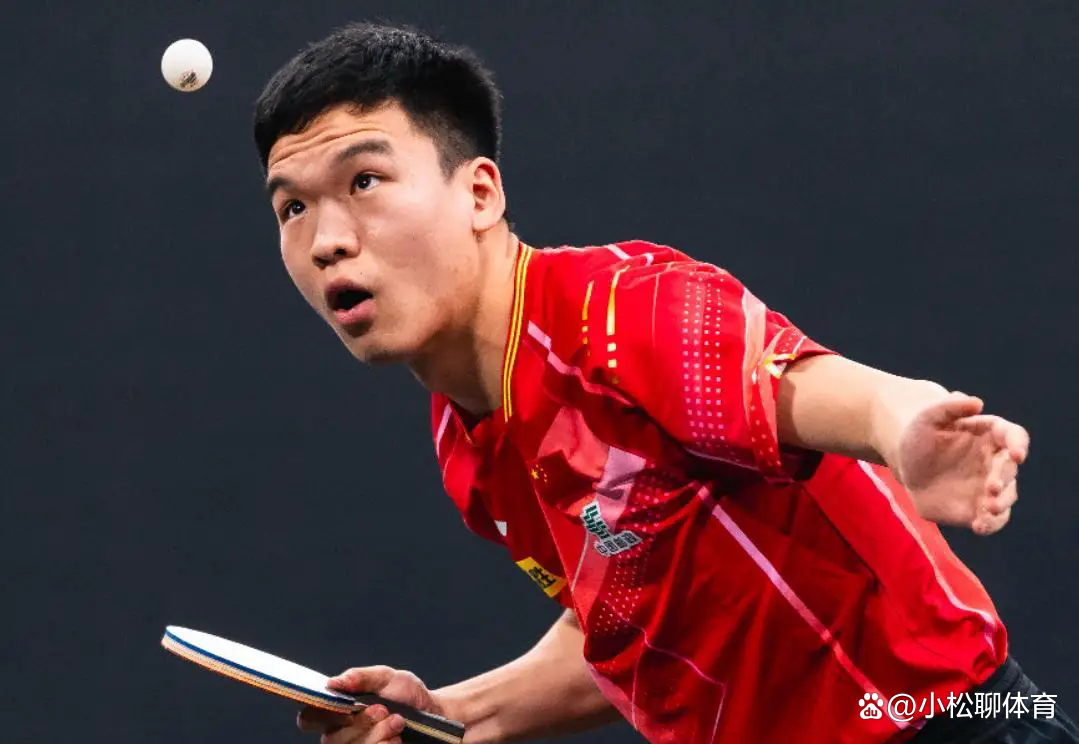 新晋选手颇具潜力，突破困境向冠军发起冲击的简单介绍