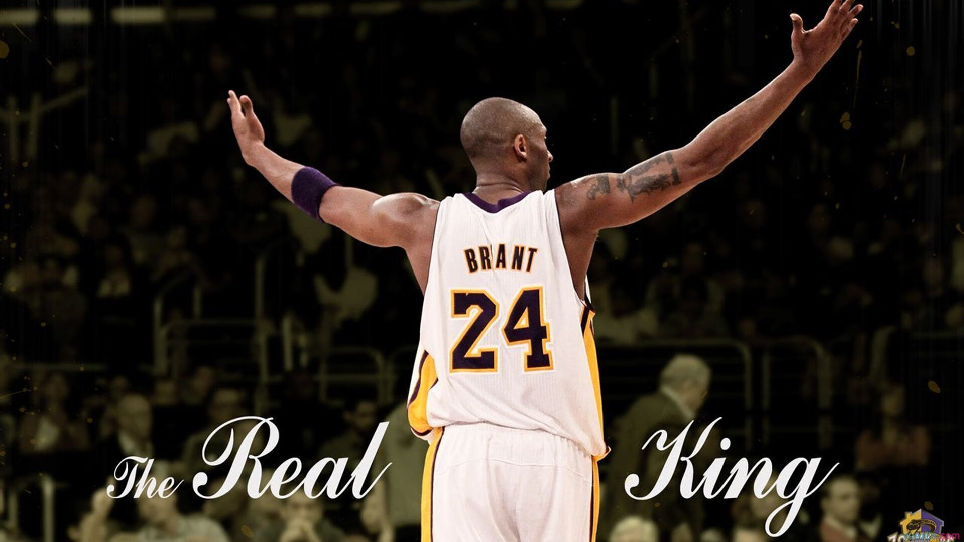 西决生死战焦点战,猛龙节奏掌控掘金,一场战术与意志的终极博弈