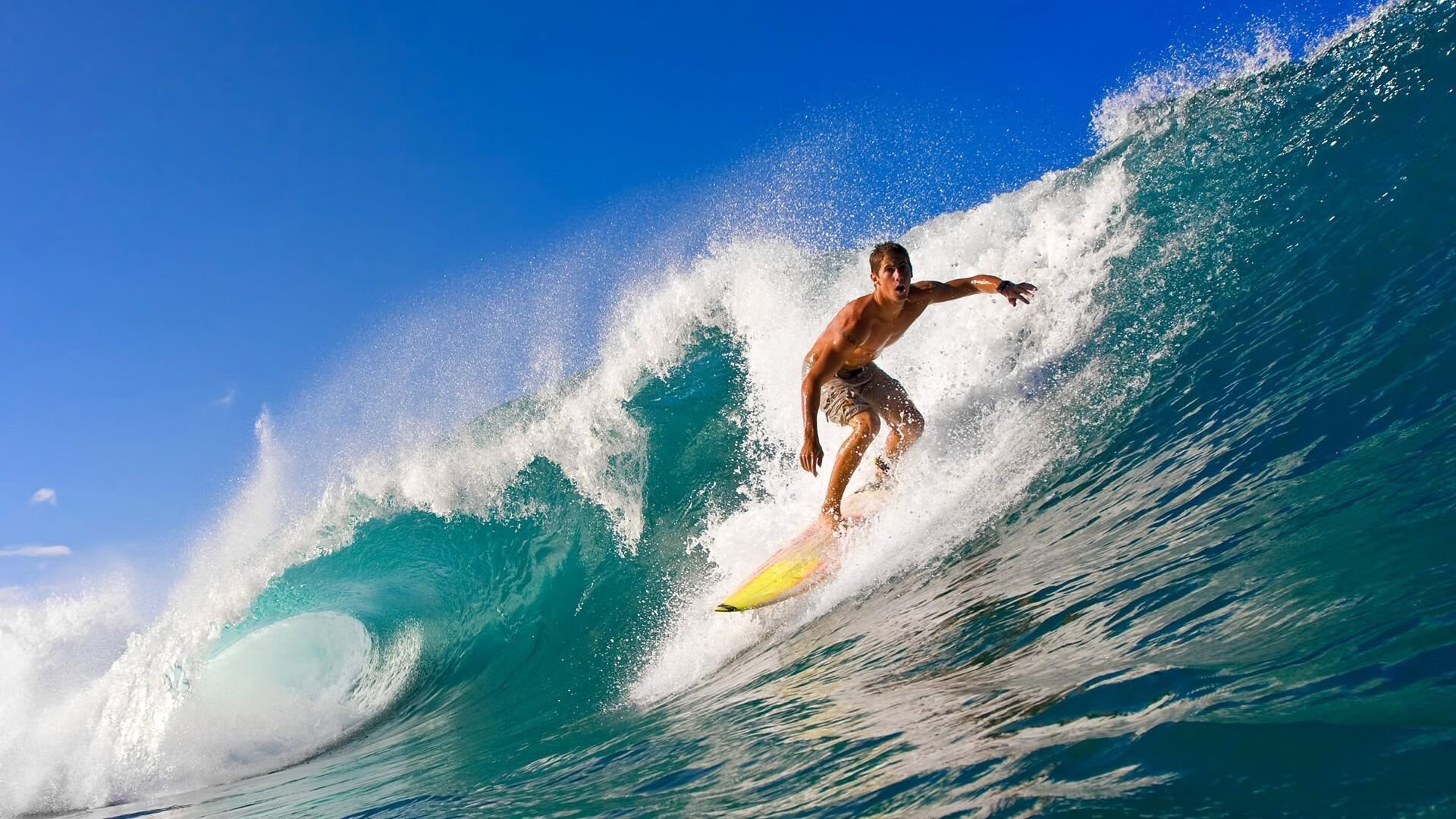 文班亚马化身关键先生,热火全面压制开拓者